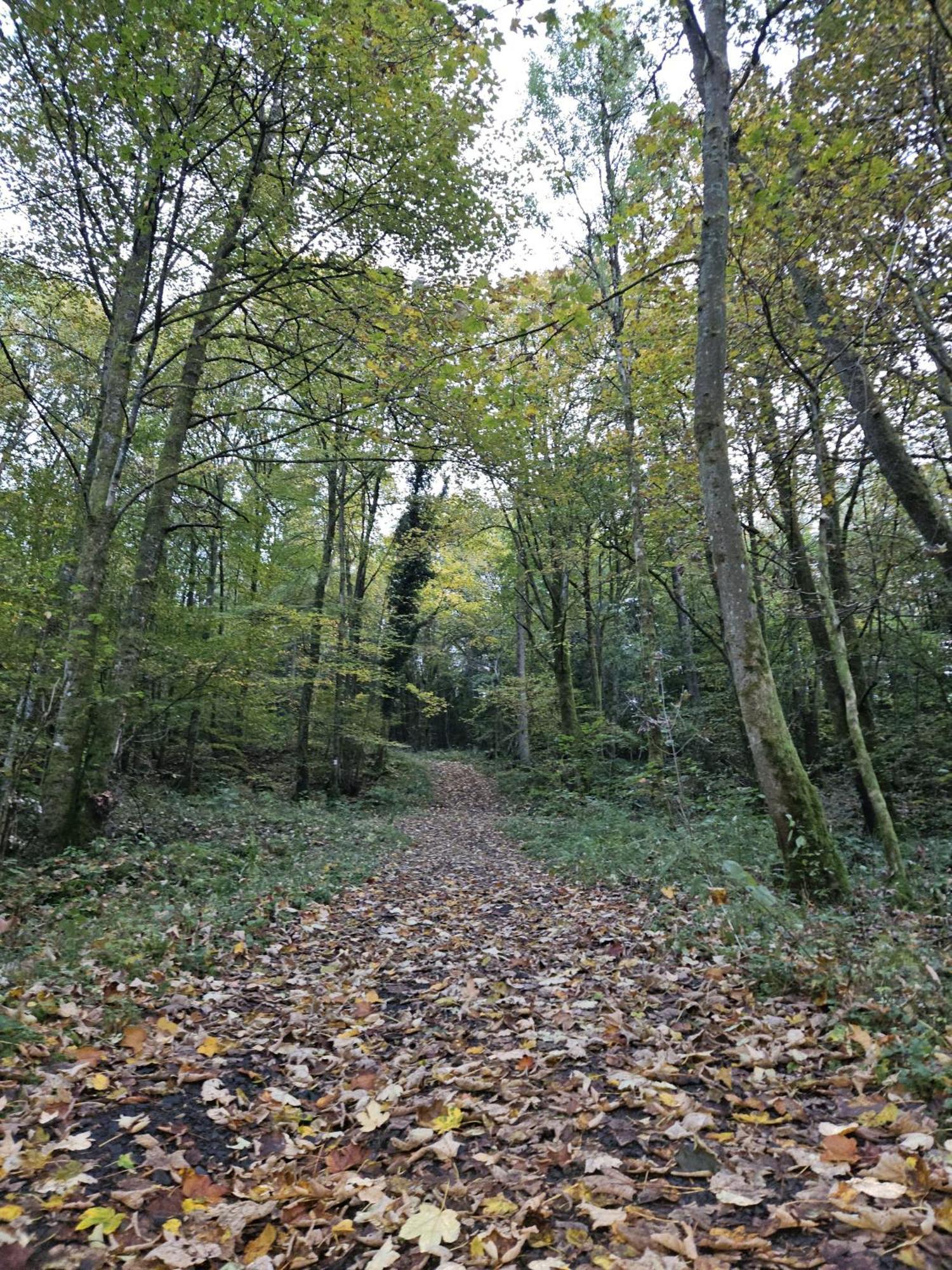 Gemuetliche Ferienwohnung Im Westerwald - "Ferienwohnung Grau" Weitefeld Bagian luar foto